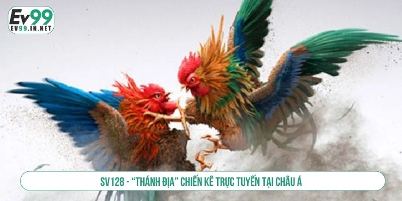 Đá Gà EV99 Cuồng Nhiệt Với Những Trận Đấu Đỉnh Cao SV128 - “Thánh địa” chiến kê trực tuyến tại Châu Á