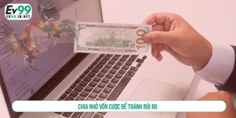 Cách Đặt Cược Đá Gà Và Bí Kíp Thắng Lớn Cho Người Mới Chia nhỏ vốn cược để tránh rủi ro